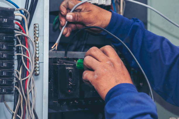 Best Electric Panel Repair  in Stanberry, MO